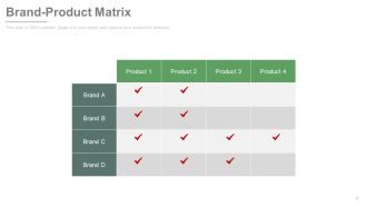 New product development and life cycle strategies process