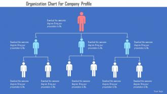 Organization chart for company profile flat powerpoint design