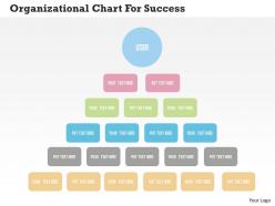 Organizational chart for success flat powerpoint design