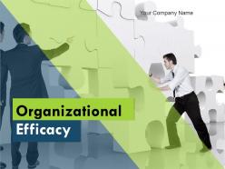 Organizational Efficacy Powerpoint Presentation Slides