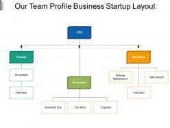 Our team profile business startup layout