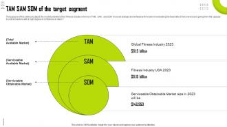 Personal Trainer Business Plan Tam Sam Som Of The Target Segment BP SS