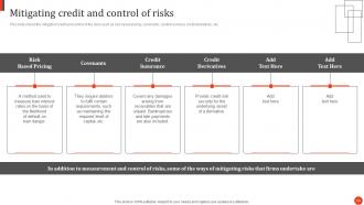 Principles And Techniques In Credit Portfolio Management Powerpoint Presentation Slides