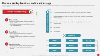 Process Of Developing And Launching New Brand In Market MKT CD V Professionally Analytical