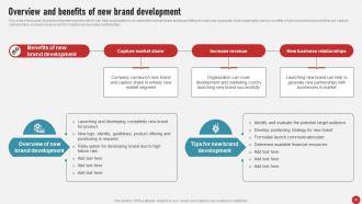 Process Of Developing And Launching New Brand In Market MKT CD V Idea Professionally