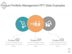 Product portfolio management ppt slide examples