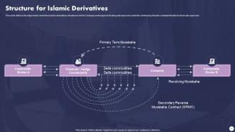 Profit And Loss Sharing Finance Powerpoint Presentation Slides Fin CD V Analytical Pre-designed