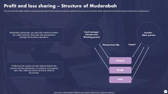 Profit And Loss Sharing Finance Powerpoint Presentation Slides Fin CD V Professionally