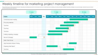 Project Management Timeline Powerpoint Ppt Template Bundles