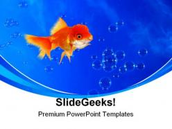 Golden fish02 animals powerpoint templates and powerpoint backgrounds 0211