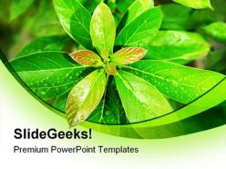 Green leaves nature powerpoint backgrounds and templates 0111