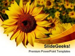 Sunflower01 nature powerpoint templates and powerpoint backgrounds 0211