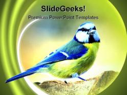 Tit nature powerpoint templates and powerpoint backgrounds 0111