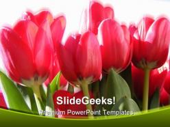 Vivid tulips nature powerpoint backgrounds and templates 1210