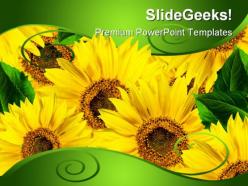 Yellow flowers beauty powerpoint background and template 1210