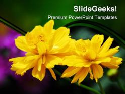 Yellow flowers nature powerpoint templates and powerpoint backgrounds 0211