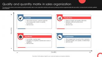 Quality And Quantity Matrix In Sales Organization