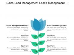 Sales lead management leads management process marketing management process cpb