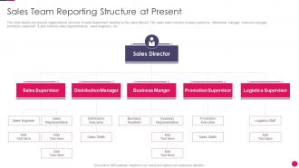 Sales strategies playbook sales team reporting structure at present