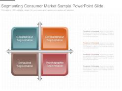 Segmenting consumer market sample powerpoint slide