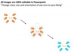 Six fishes with food strategy and planning flat powerpoint design