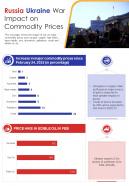 Russia ukraine war infographics document report doc pdf ppt