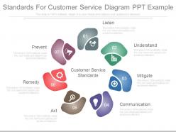 Standards for customer service diagram ppt example