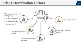 Startup business plan powerpoint presentation slides