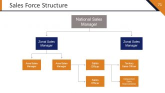 Startup Strategy Framework Powerpoint Presentation Slides