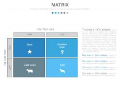 Stock portfolio management techniques and strategies powerpoint presentation with slides