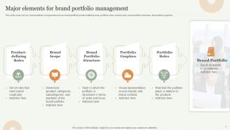 Strategic Approach Toward Optimizing Brand Portfolio Branding CD V