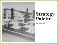 Strategy Palette Powerpoint Presentation Slides