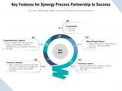 Synergy Process Partnership To Success Entrepreneurs Framework Research Collaboration Environment