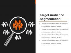 Target audience segmentation powerpoint slide presentation guidelines