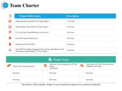 Team Capability Assessment Powerpoint Presentation Slides