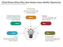 What where when why how assess issue identify opportunity