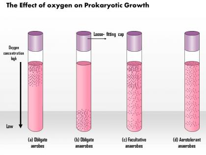 0614 the effect of oxygen on prokaryotic growth medical images for powerpoint