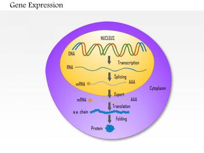 0814 gene expression medical images for powerpoint