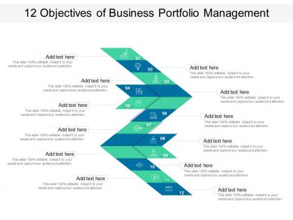 12 objectives of business portfolio management