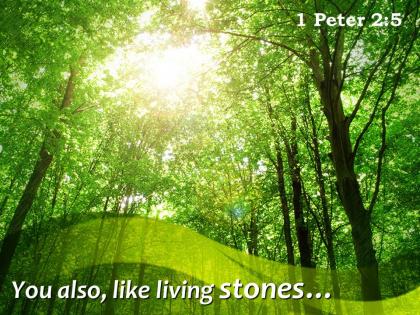 1 peter 2 5 you also like living stones powerpoint church sermon