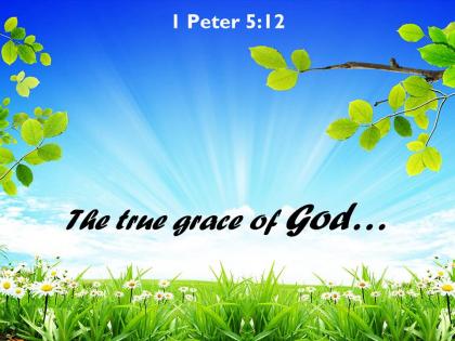 1 peter 5 12 the true grace of god powerpoint church sermon