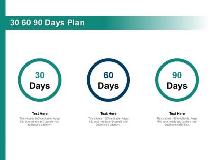 30 60 90 days plan management c1306 ppt powerpoint presentation gallery