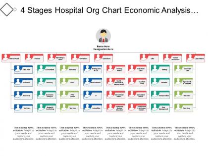 4 stages hospital org chart economic analysis budgeting and controlling