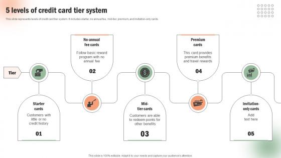 5 Levels Of Credit Card Tier System Execution Of Targeted Credit Card Promotional Strategy SS V