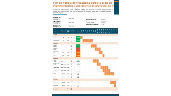 Plan de trabajo de una página para las operaciones del proyecto y el informe del equipo de implementación infografía documento ppt pdf