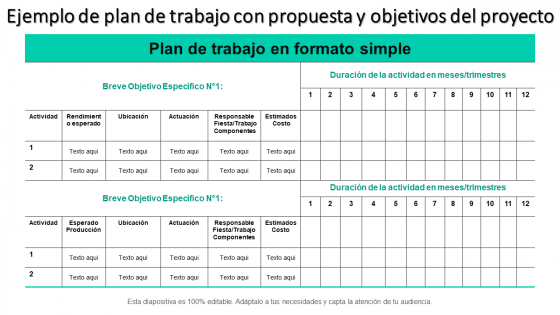 Modelo de plan de trabajo con propuesta de proyecto y objetivos.