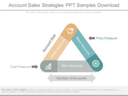 Account sales strategies ppt samples download