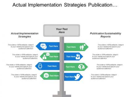 Actual implementation strategies publication sustainability reports executive summary