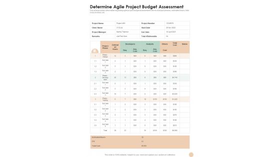 Agile Playbook Template Determine Agile Project Budget Assessment One Pager Sample Example Document