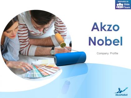 Akzo nobel company profile overview financials and statistics from 2014-2018